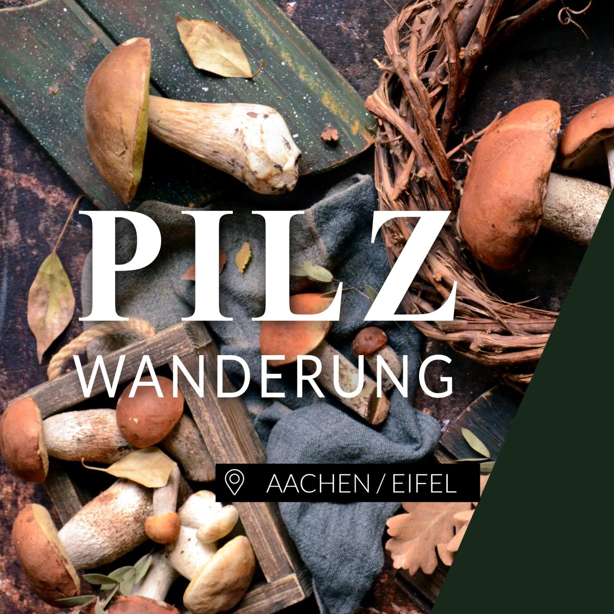 Pilzwanderung Aachen Eifel