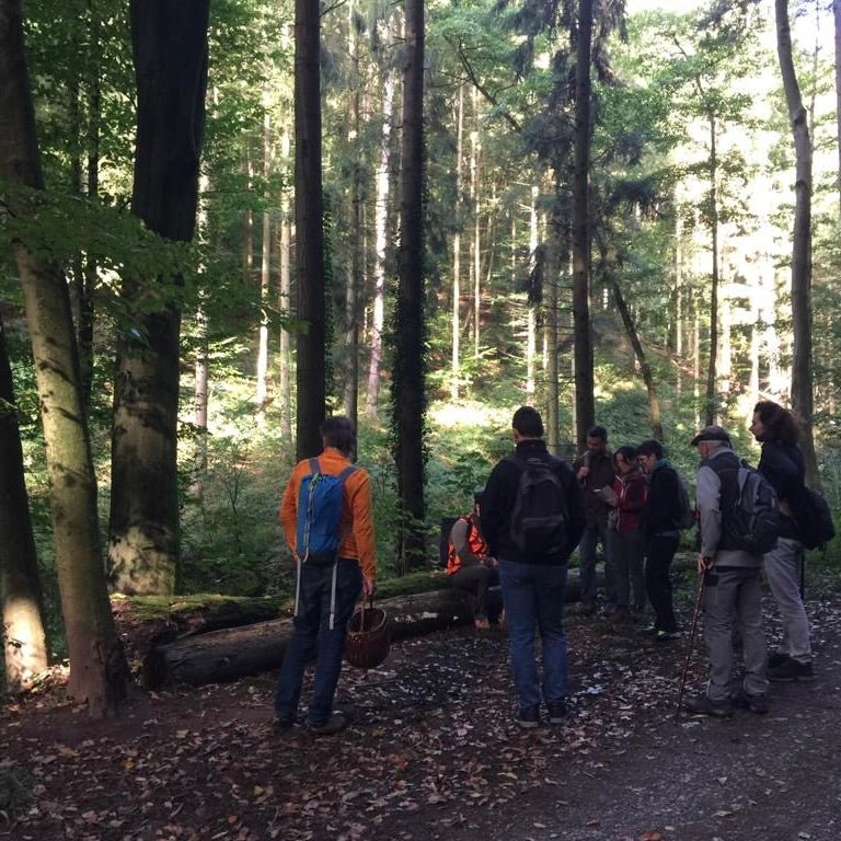 Pilzwanderung Bonn Süd