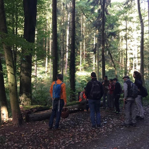 Pilzwanderung Bonn Süd