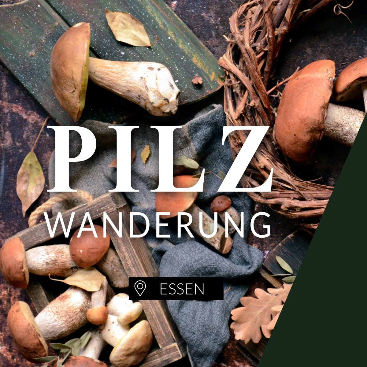 Pilzwanderung Essen