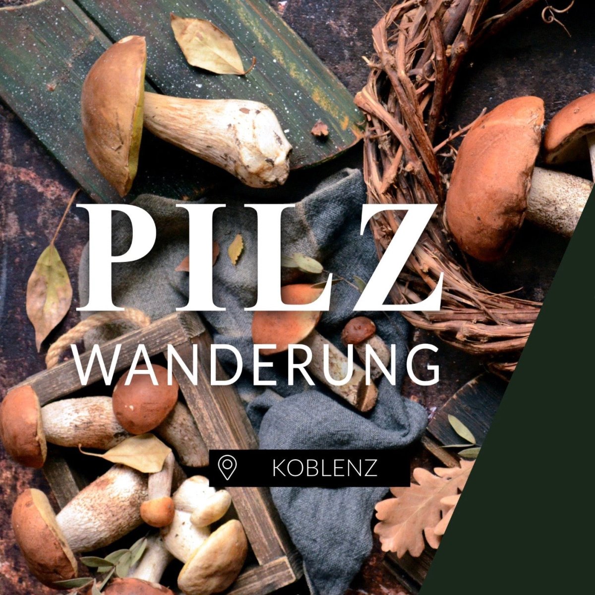 Pilzwanderung Koblenz