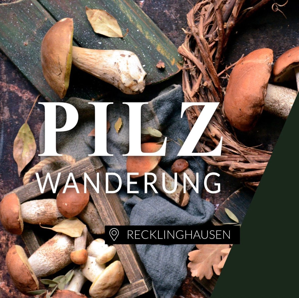 Pilzwanderung Recklinghausen