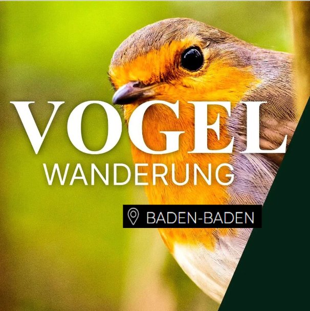 Vogelwanderung Baden-Baden