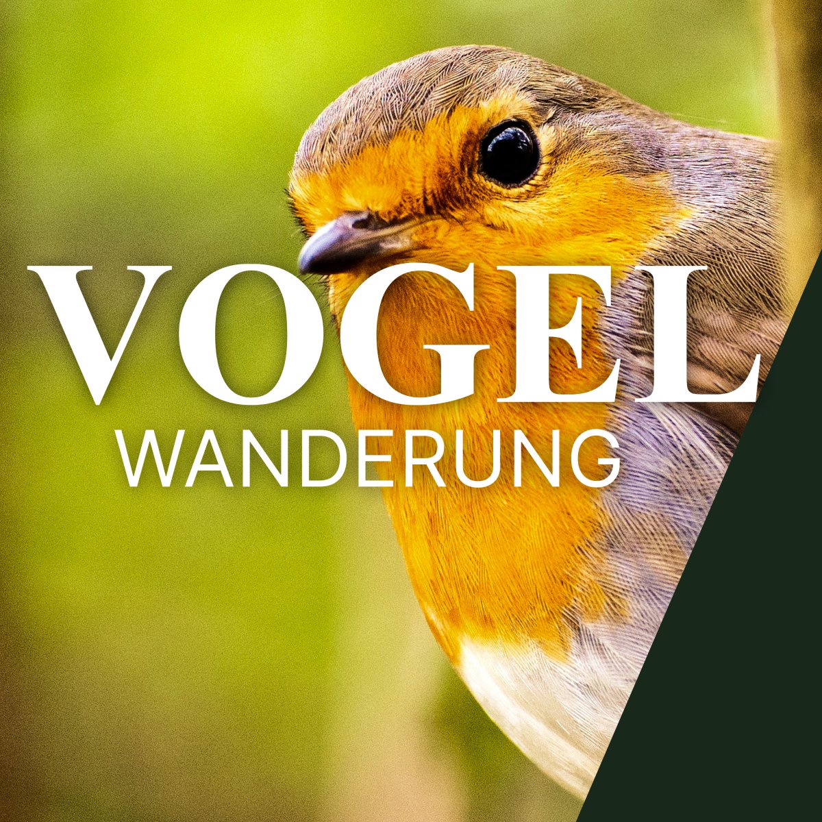 Vogelwanderung Ruhrgebiet