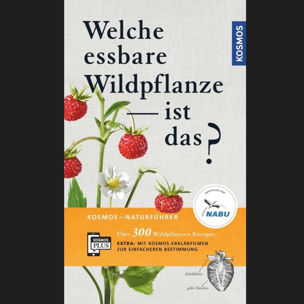 Wildkräuterbuch: Welche essbare Wildpflanze - ist das?