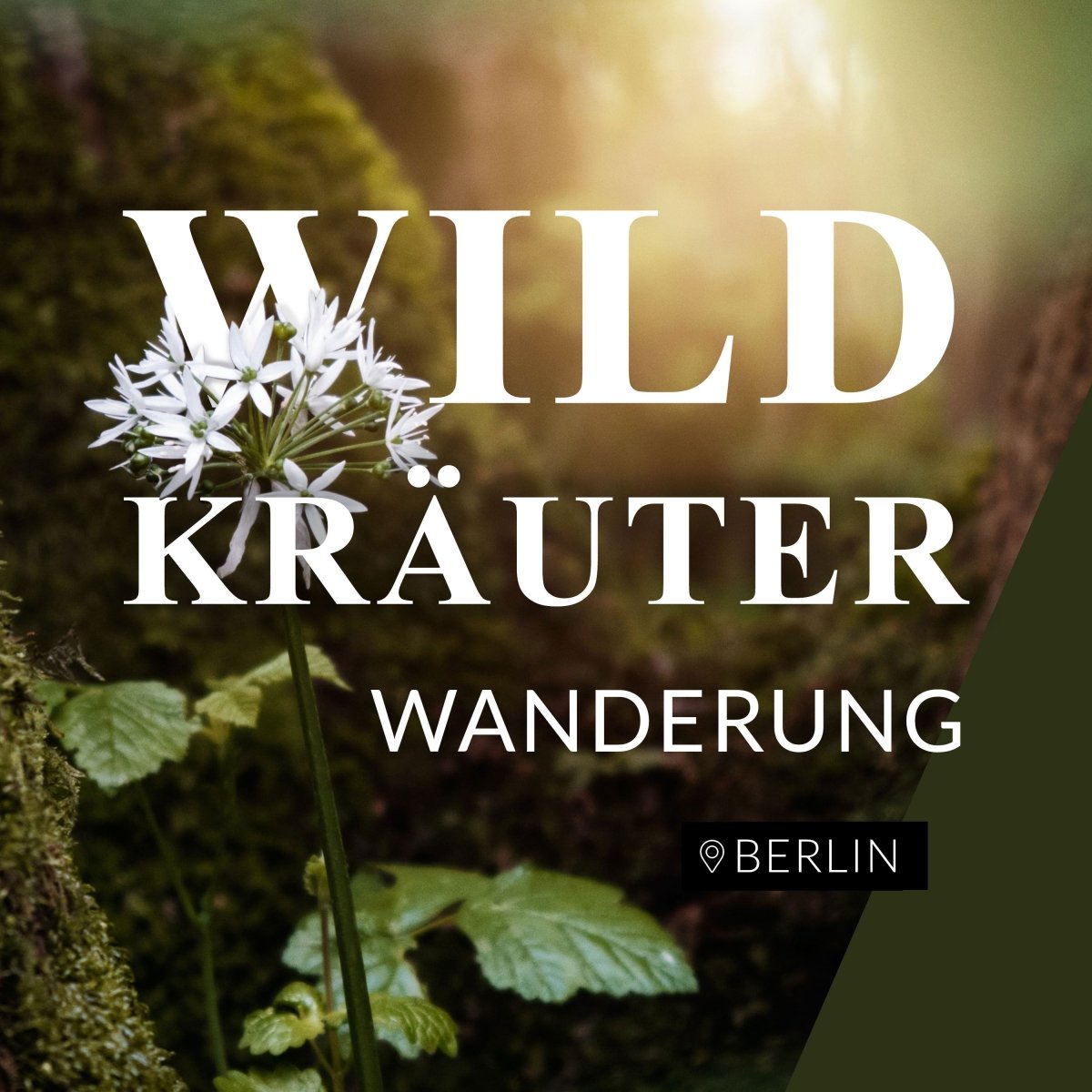 Wildkräuterwanderung Berlin Wannsee