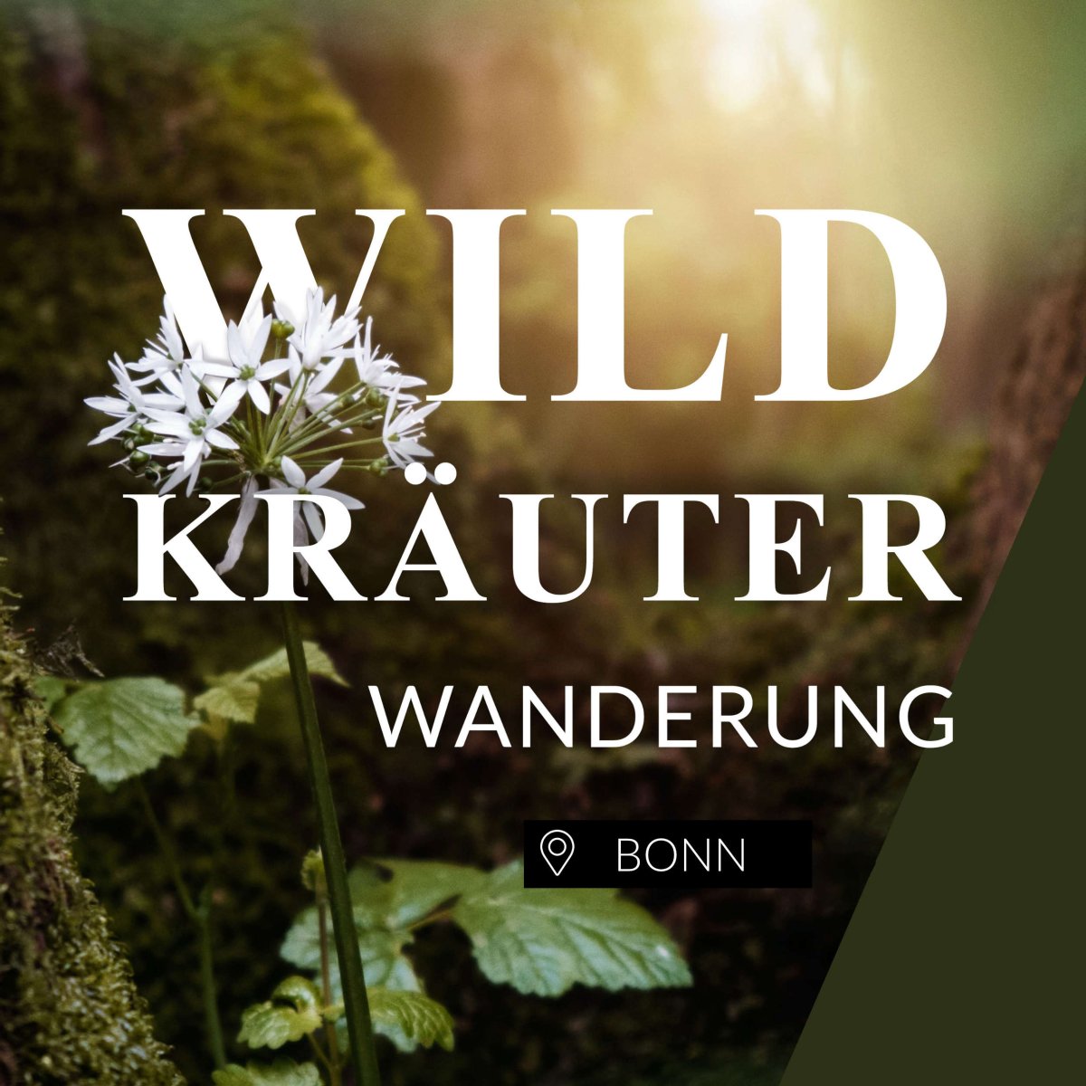 Wildkräuterwanderung Bonn