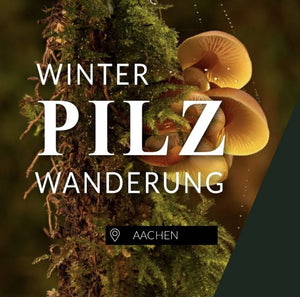 Winterpilzwanderung Aachen