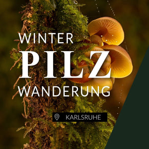 Winterpilzwanderung Karlsruhe