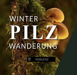 Winterpilzwanderung Koblenz
