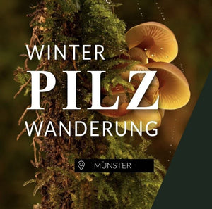 Winterpilzwanderung Münster